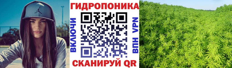 Бошки Шишки марихуана Беломорск